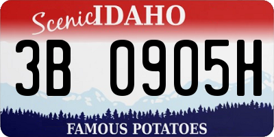 ID license plate 3B0905H