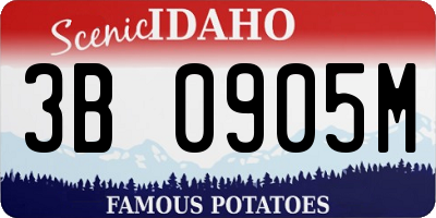 ID license plate 3B0905M