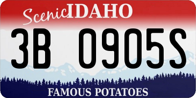 ID license plate 3B0905S