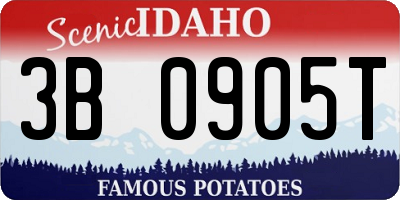 ID license plate 3B0905T
