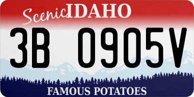 ID license plate 3B0905V