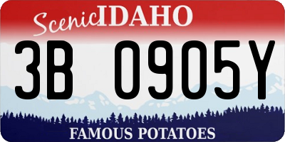 ID license plate 3B0905Y