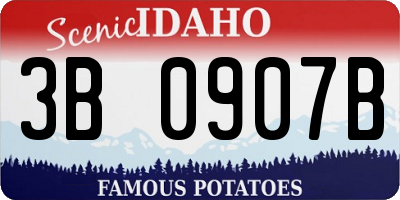 ID license plate 3B0907B