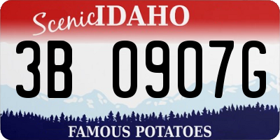 ID license plate 3B0907G