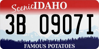 ID license plate 3B0907I