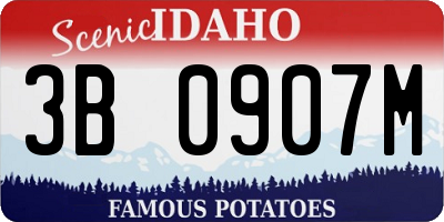 ID license plate 3B0907M
