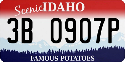 ID license plate 3B0907P