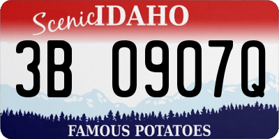 ID license plate 3B0907Q