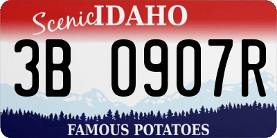 ID license plate 3B0907R