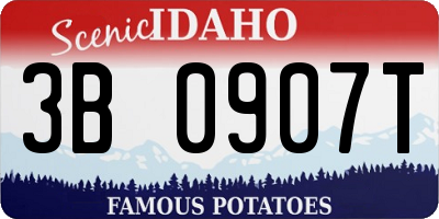 ID license plate 3B0907T