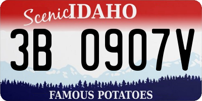 ID license plate 3B0907V