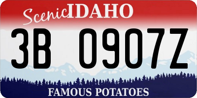 ID license plate 3B0907Z