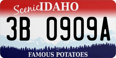 ID license plate 3B0909A