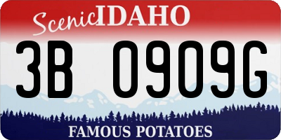 ID license plate 3B0909G