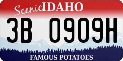 ID license plate 3B0909H