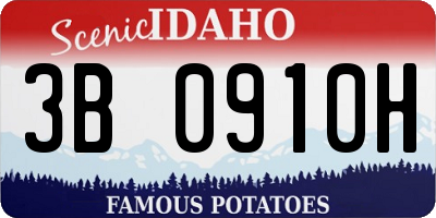 ID license plate 3B0910H