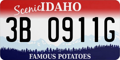 ID license plate 3B0911G