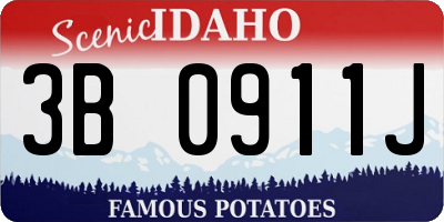 ID license plate 3B0911J