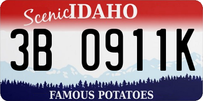 ID license plate 3B0911K
