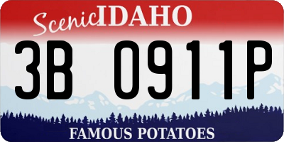 ID license plate 3B0911P