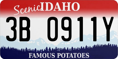 ID license plate 3B0911Y