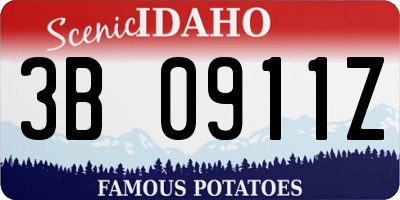 ID license plate 3B0911Z