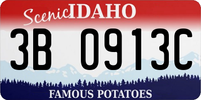ID license plate 3B0913C