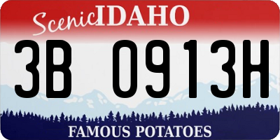 ID license plate 3B0913H
