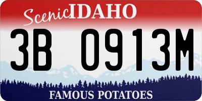 ID license plate 3B0913M