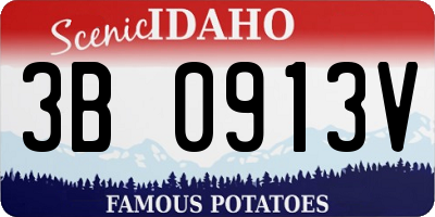 ID license plate 3B0913V