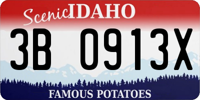 ID license plate 3B0913X