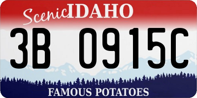 ID license plate 3B0915C