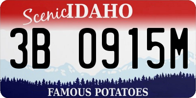 ID license plate 3B0915M