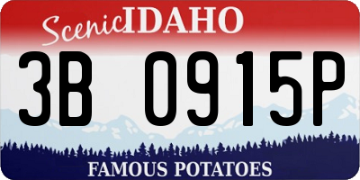 ID license plate 3B0915P