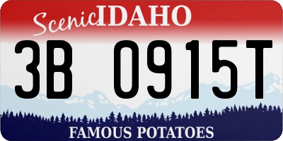 ID license plate 3B0915T