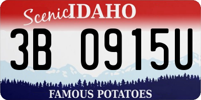 ID license plate 3B0915U
