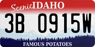 ID license plate 3B0915W