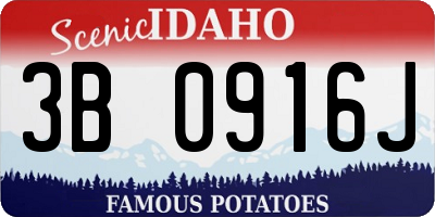 ID license plate 3B0916J