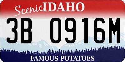 ID license plate 3B0916M