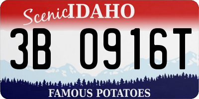 ID license plate 3B0916T