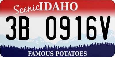 ID license plate 3B0916V