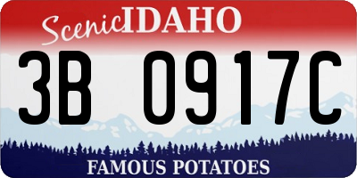 ID license plate 3B0917C