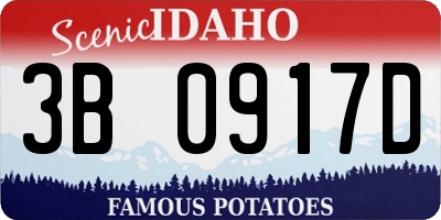 ID license plate 3B0917D