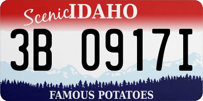 ID license plate 3B0917I