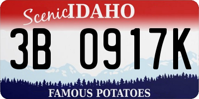 ID license plate 3B0917K