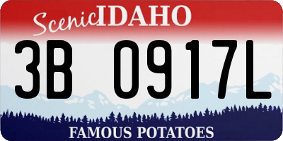 ID license plate 3B0917L