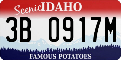 ID license plate 3B0917M