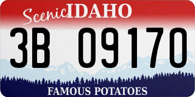 ID license plate 3B0917O