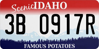 ID license plate 3B0917R