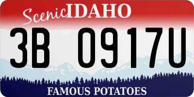 ID license plate 3B0917U